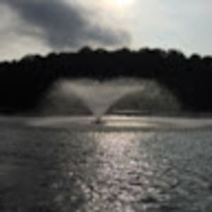 Meet your Posher, Jayden